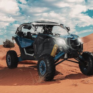 Dune Buggy Desert Ride Tour - Desert Experience Tourism